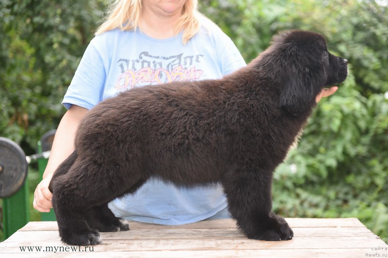 Фотография № 190231