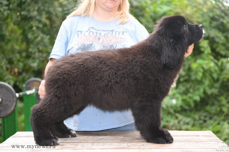 Фотография № 190232