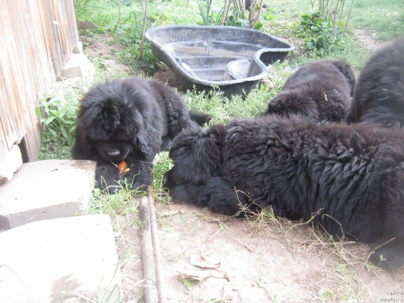 Фото: Наталья Смазчикова