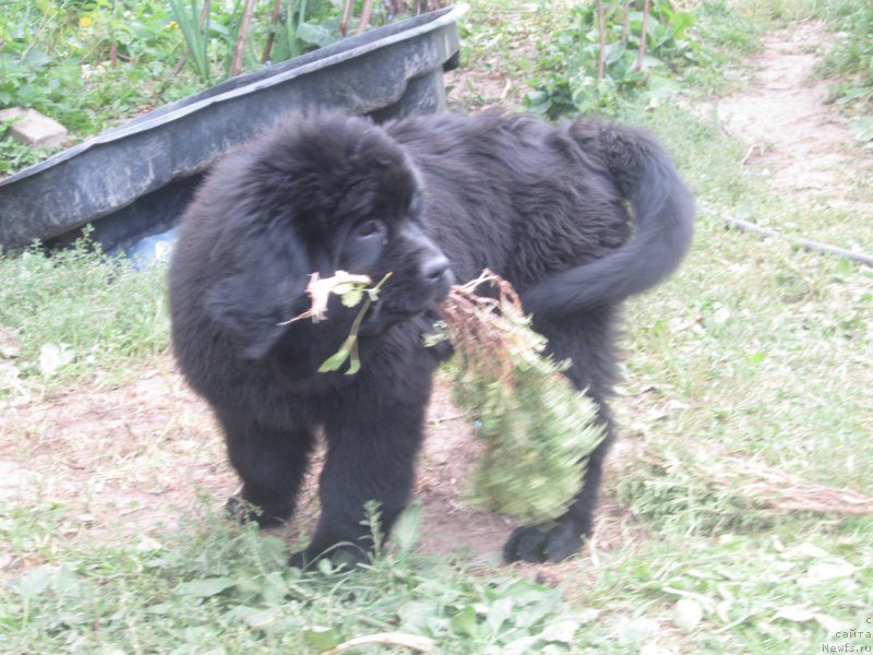 Фото: Наталья Смазчикова