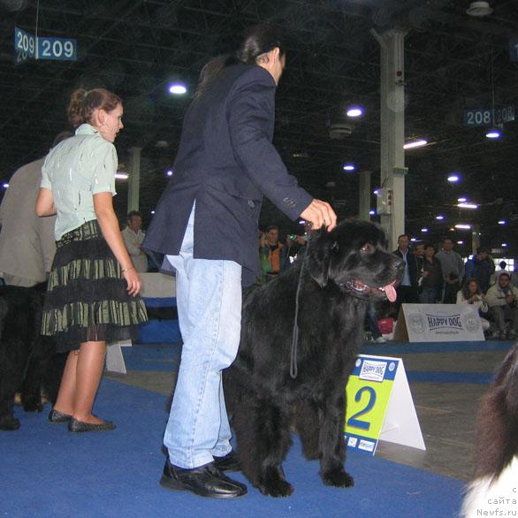 Фотография № 19026