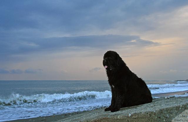 Фотография № 19027