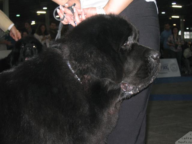 Фотография № 19029