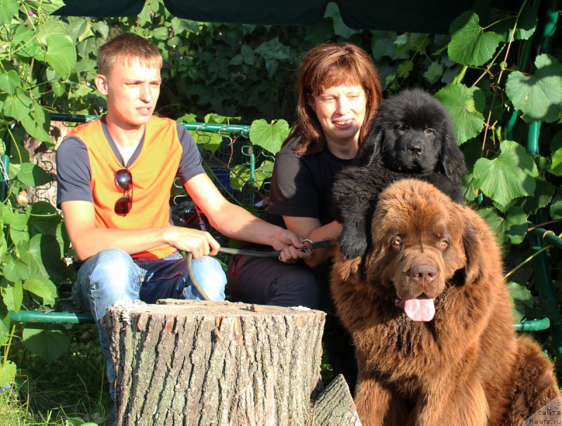 Фотография № 190290