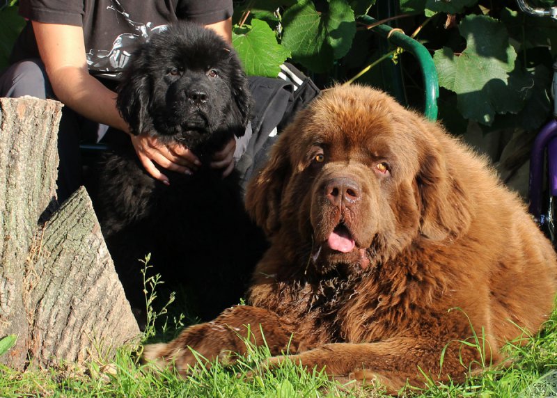 Фотография № 190291