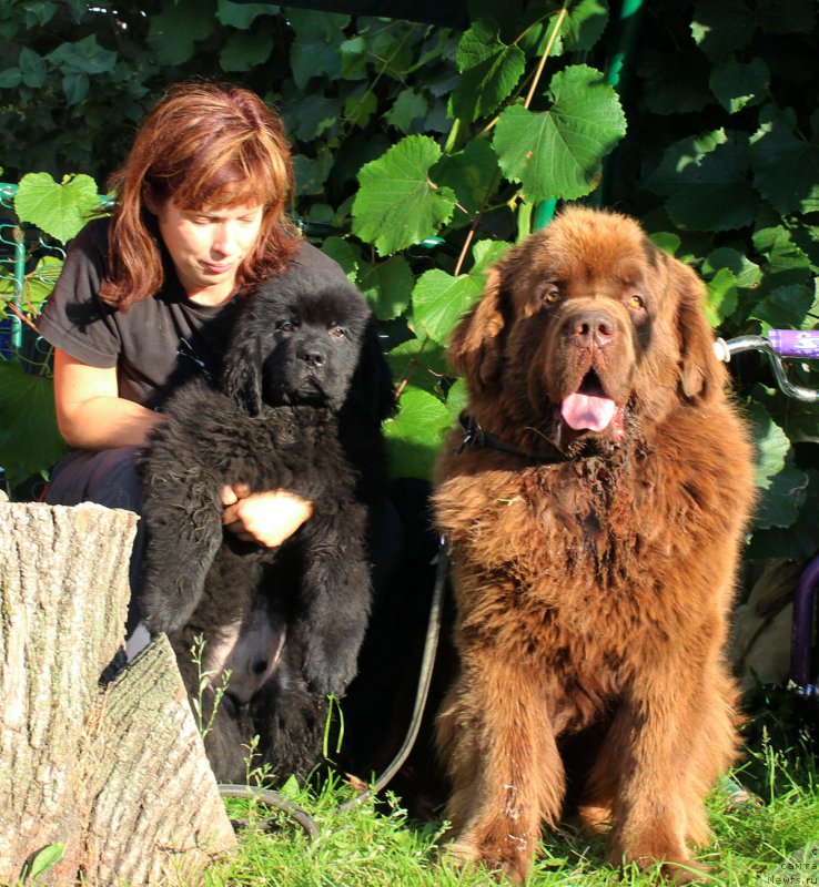 Фотография № 190292