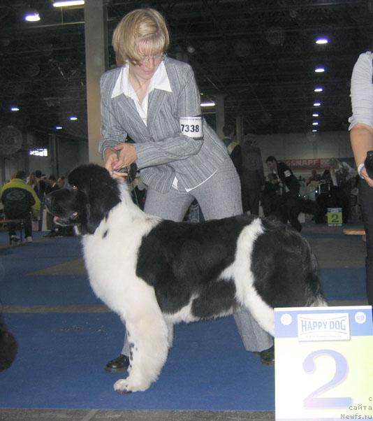 Фотография № 19031