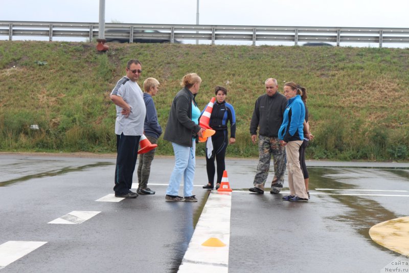 Фотография № 190319