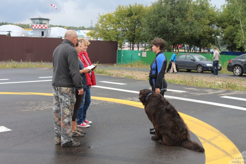 Фотография № 190325