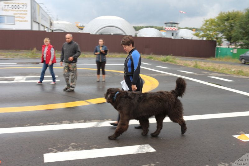 Фотография № 190326