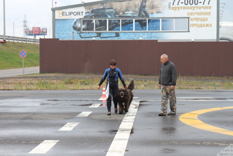 Фотография № 190327