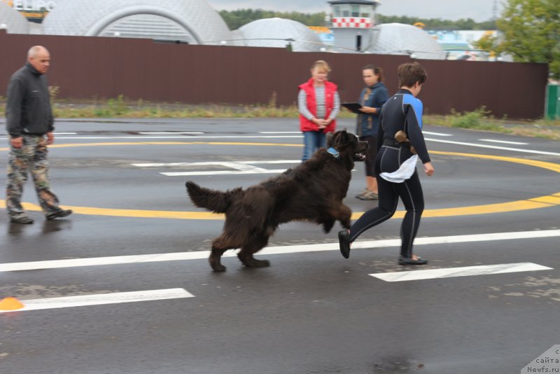 Фотография № 190328