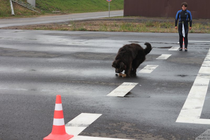 Фотография № 190329