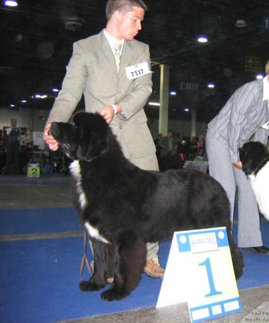 Фотография № 19033