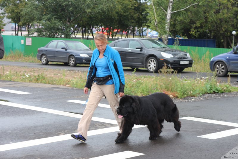 Фотография № 190332