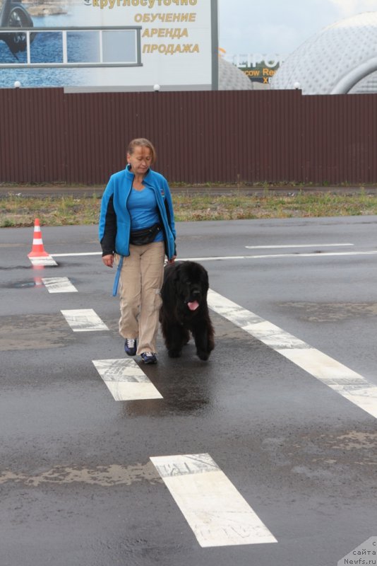 Фотография № 190333