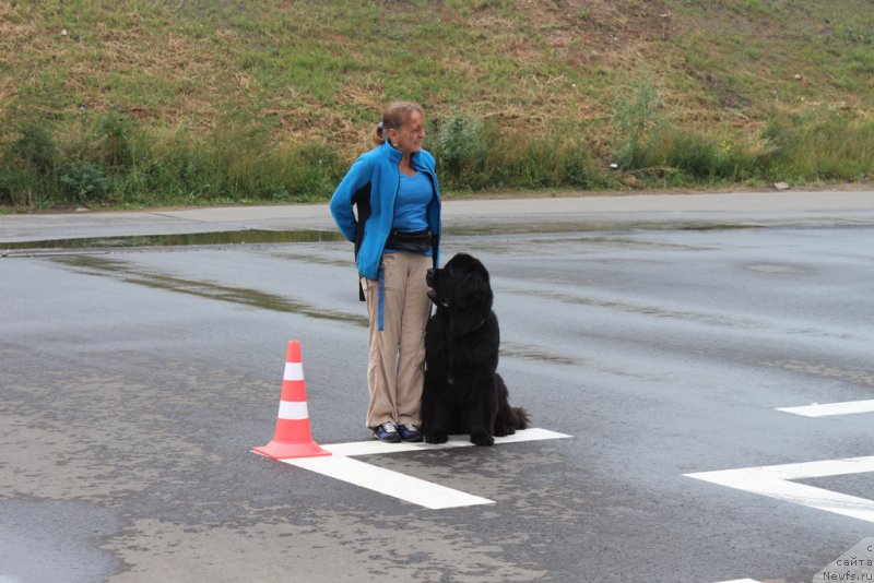 Фотография № 190338