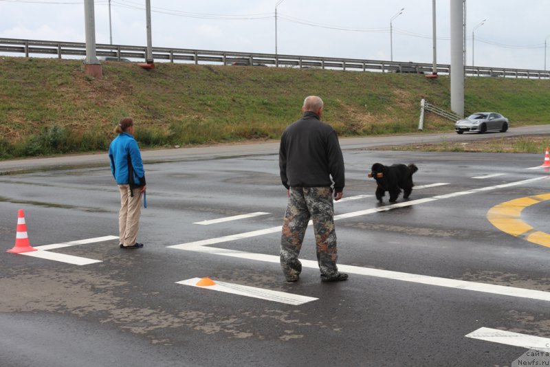 Фотография № 190339