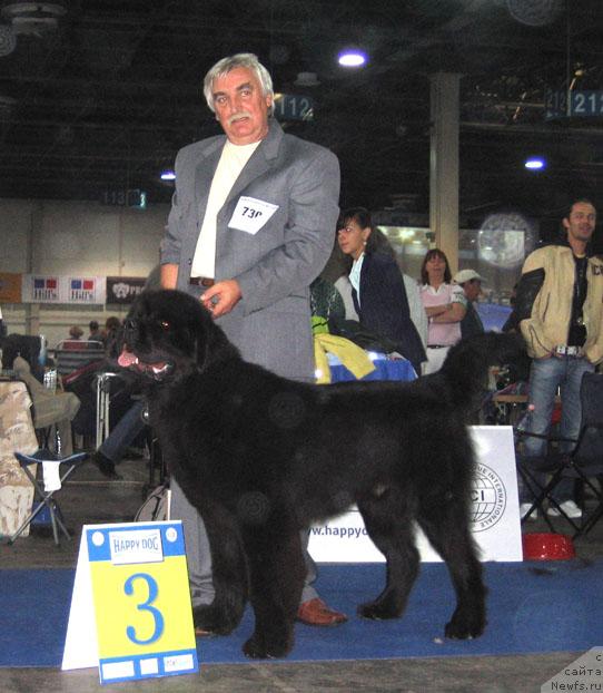 Фотография № 19034