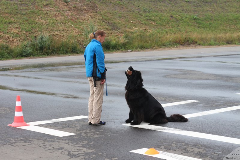 Фотография № 190340