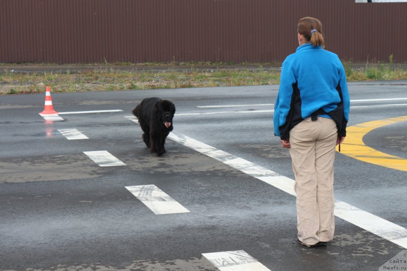 Фотография № 190342