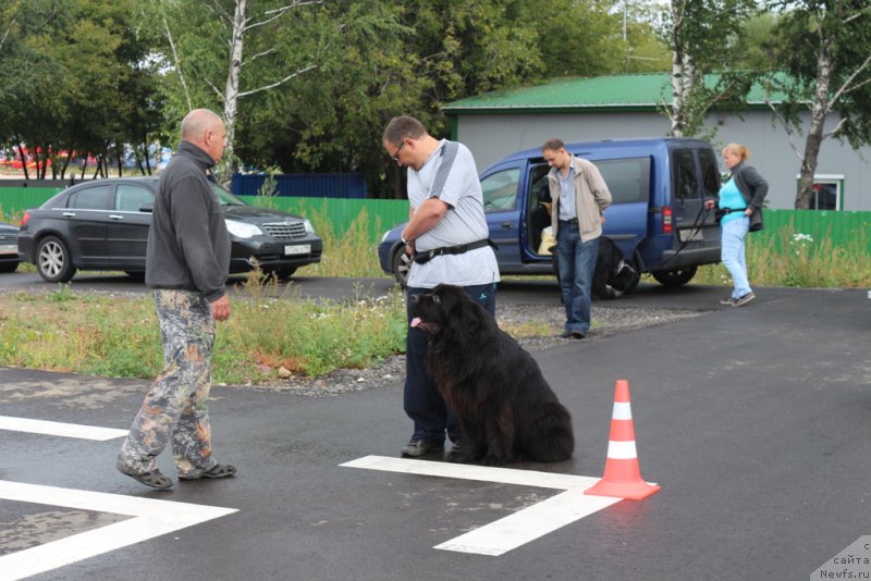 Фотография № 190349