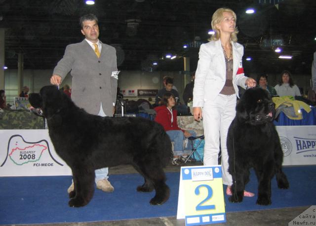 Фотография № 19035