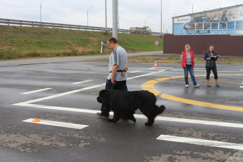 Фотография № 190350