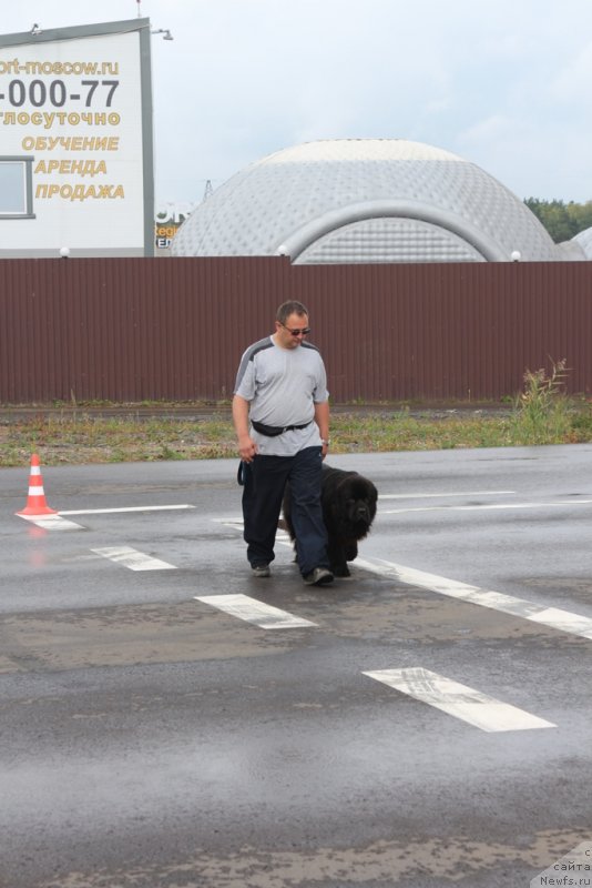 Фотография № 190351