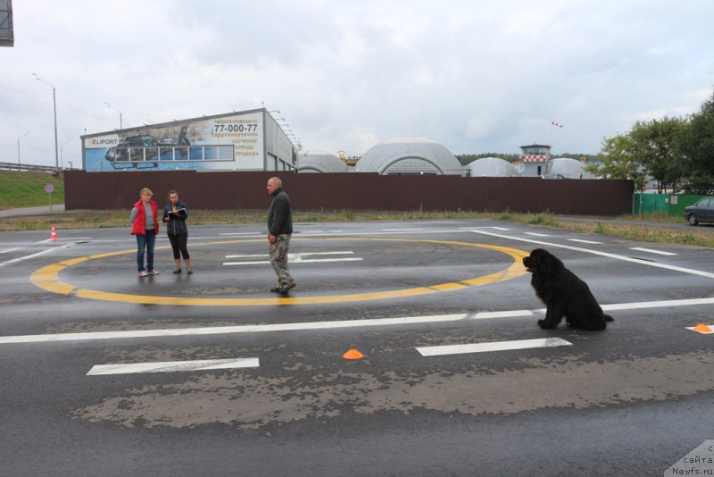 Фотография № 190352