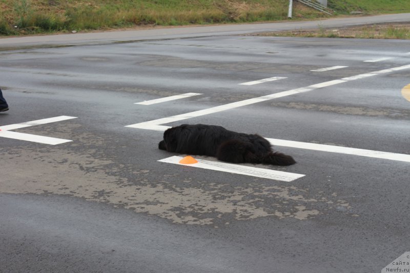 Фотография № 190353