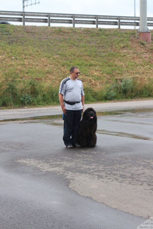 Фотография № 190355