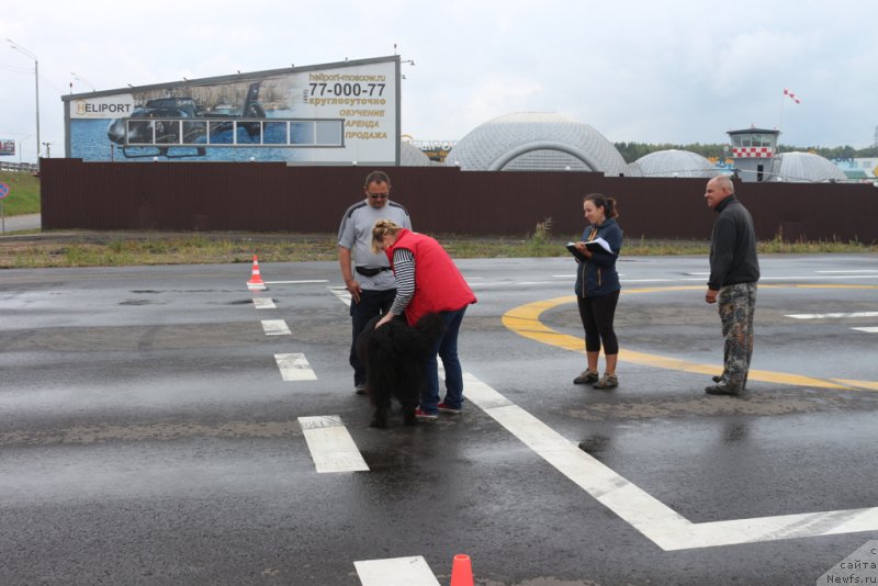 Фотография № 190359