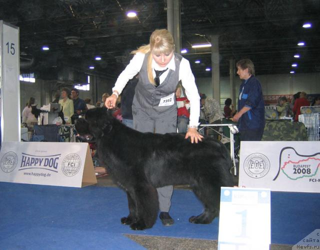 Фотография № 19036