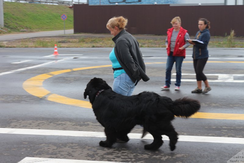 Фотография № 190362