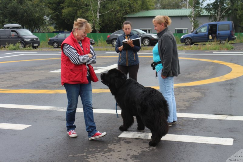 Фотография № 190371