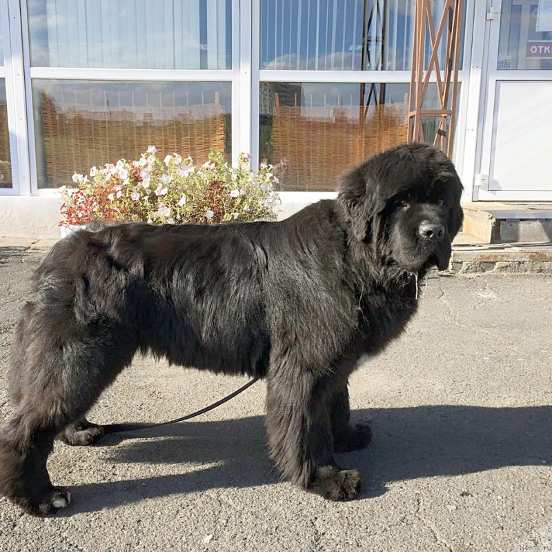 Фотография № 190379