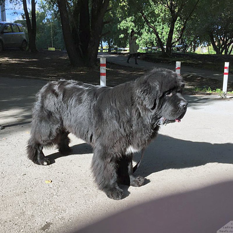 Фотография № 190380