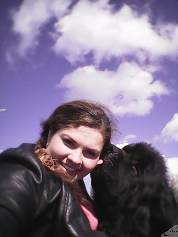 Фото: ньюфаундленд Promise To Love Midnight Bear, Екатерина Жиронкина