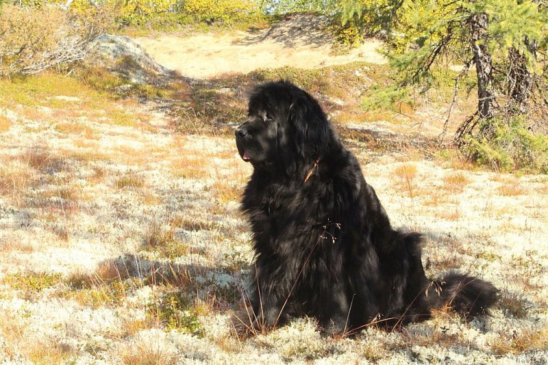 Фотография № 190391