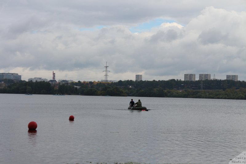 Фотография № 190396