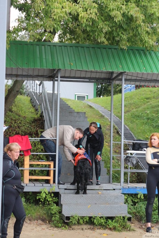 Фотография № 190402