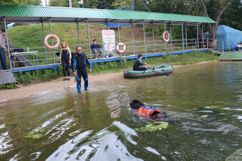 Фотография № 190405