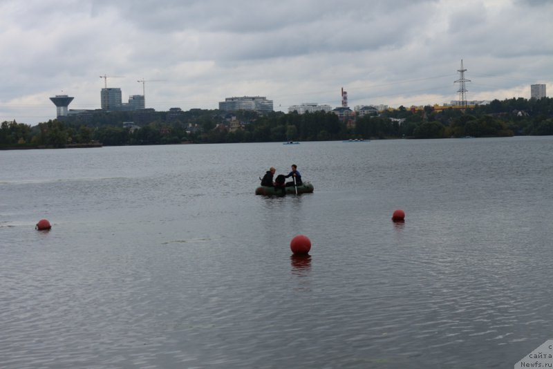 Фотография № 190407