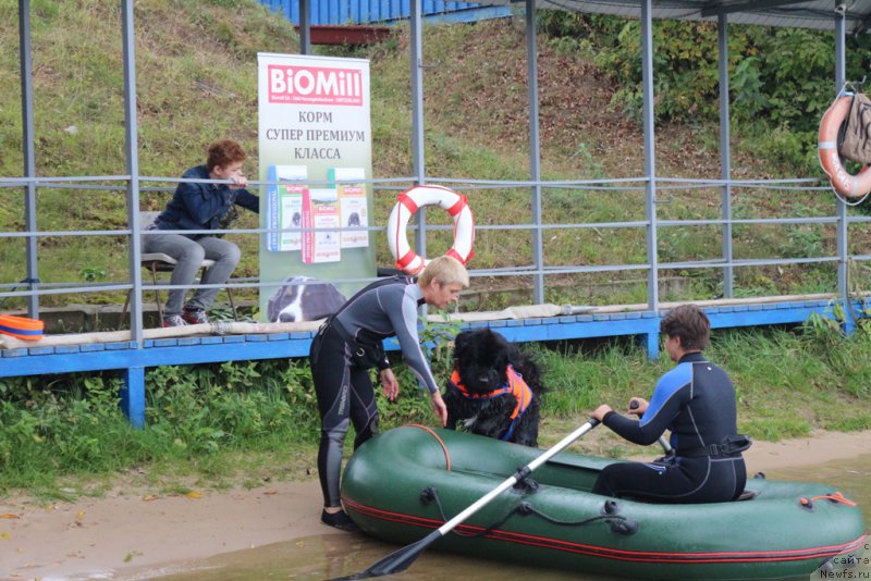 Фотография № 190410