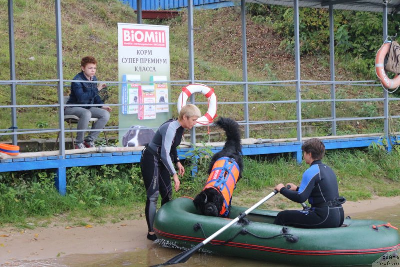 Фотография № 190411