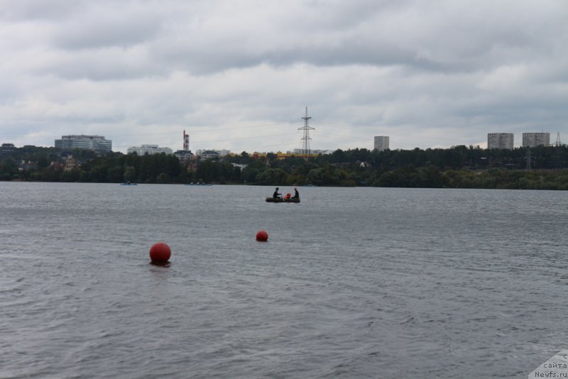 Фотография № 190412