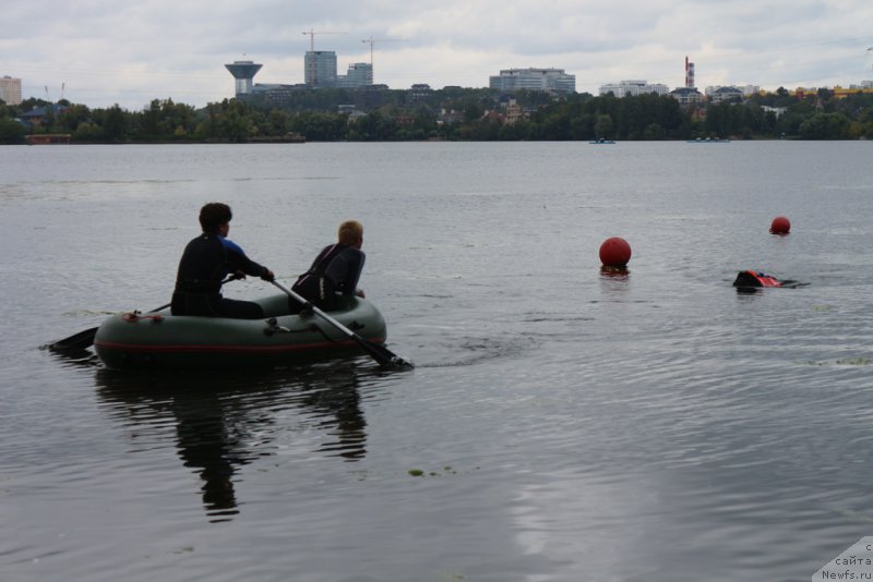 Фотография № 190413