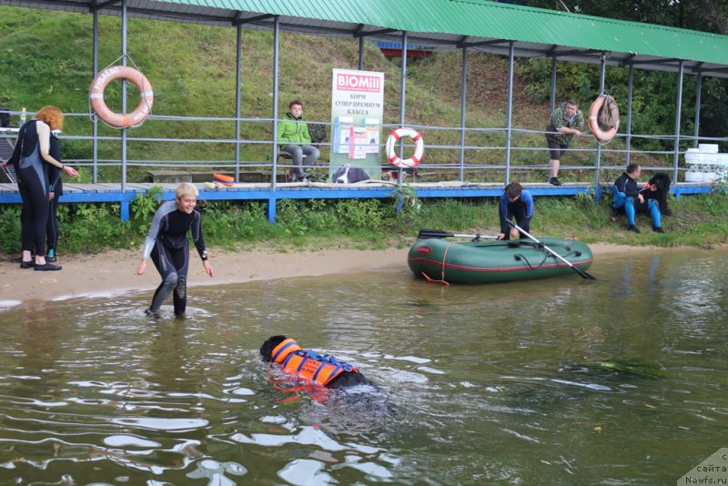 Фотография № 190414