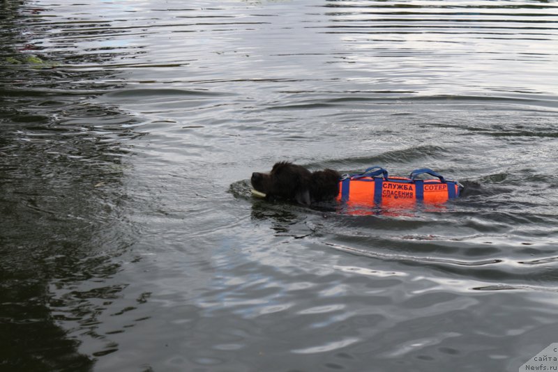 Фотография № 190417